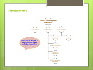 Antibacteriana
Reducción del Agente
Infeccioso
Control de Dieta Control Químico
Inhibe Colonización
Bacteriana
Inhibe la Adherencia
Inhibe la
prolifereración
Inhibe la patogenia
bacteriana
Control Mecánico
elimina la placa en
formación
Debe ser un auxiliar y
no un sustituto de los
métodos mecánicos
 