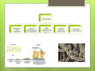 Clorhexidina
Antiséptico “
Gold
Standard”
Efecto
Bacteriostático
y bactericida
Alta
sustantivida
d (12 hrs)
Amplio
Espectro
Microbiano
Colutorio
0.12% y 0.05 %
 