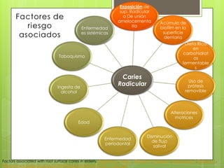 Caries
Radicular
Exposición de
sup. Radicular
o De unión
amelocementa
ria
Acúmulo de
biofilm en la
superficie
dentaria
Dieta Rica
en
carbohidrat
os
fermentable
s
Uso de
prótesis
removible
Alteraciones
motrices
Disminución
de flujo
salival
Enfermedad
periodontal
Edad
Ingesta de
alcohol
Tabaquismo
Enfermedad
es sistémicas
Factors associated with root surface caries in elderly. Sugihara N, Maki Y, Okawa Y, Hosaka M, Matsukubo T, Takaesu Y.
https://www.jstage.jst.go.jp/article/tdcpublication/51/1/51_1_23/_pdf
 