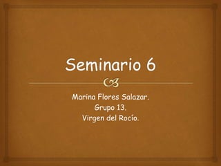 Marina Flores Salazar.
Grupo 13.
Virgen del Rocío.
 