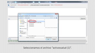 Seleccionamos el archivo “activossalud (1)”.
 