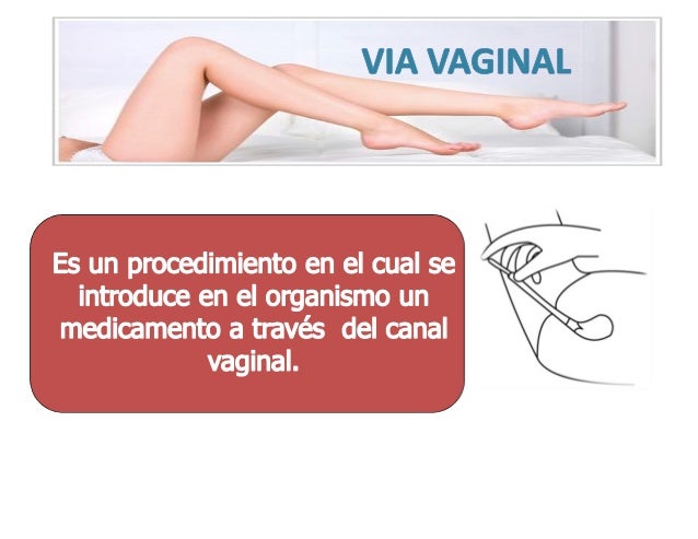 Resultado de imagen de via vaginal