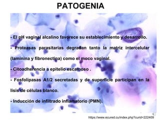Seminario 6 PARTE 2. Protozoos intestinales y de cavidades.pdf