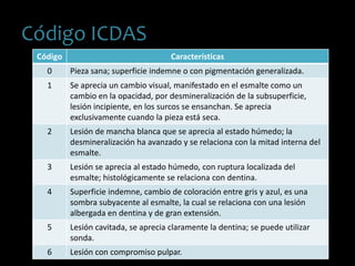 Código ICDAS
Código Características
0 Pieza sana; superficie indemne o con pigmentación generalizada.
1 Se aprecia un cambio visual, manifestado en el esmalte como un
cambio en la opacidad, por desmineralización de la subsuperficie,
lesión incipiente, en los surcos se ensanchan. Se aprecia
exclusivamente cuando la pieza está seca.
2 Lesión de mancha blanca que se aprecia al estado húmedo; la
desmineralización ha avanzado y se relaciona con la mitad interna del
esmalte.
3 Lesión se aprecia al estado húmedo, con ruptura localizada del
esmalte; histológicamente se relaciona con dentina.
4 Superficie indemne, cambio de coloración entre gris y azul, es una
sombra subyacente al esmalte, la cual se relaciona con una lesión
albergada en dentina y de gran extensión.
5 Lesión cavitada, se aprecia claramente la dentina; se puede utilizar
sonda.
6 Lesión con compromiso pulpar.
 