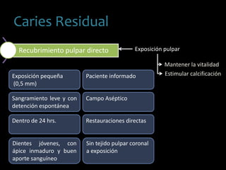 Caries Residual
Recubrimiento pulpar directo Exposición pulpar
Mantener la vitalidad
Estimular calcificaciónExposición pequeña
(0,5 mm)
Sangramiento leve y con
detención espontánea
Dentro de 24 hrs.
Dientes jóvenes, con
ápice inmaduro y buen
aporte sanguíneo
Paciente informado
Campo Aséptico
Restauraciones directas
Sin tejido pulpar coronal
a exposición
 
