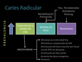 Caries Radicular
Expectativas y
calidad de
vida
Dientes en
boca
Recesiones
Prevención
PREVALENCIA
ADULTO MAYOR
Dificultad con motricidad fina
Dificultad en comprensión de IHO
Disminución del tono muscular peri bucal
Uso de PPR con desajuste
Disminución de flujo salival
Aumento de dieta cariogénica
Fármacos
Ttos. Periodontales
Rehabilitación Piercing
Ortodoncia
 