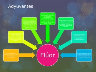 Adyuvantes
Flúor
Es fundamental su
presencia para que pueda
producirse la re
mineralización.
Su acción anticariogénica
se da por medio de
formas: sistémica
(durante la formación del
diente) y en forma tópica
(después de la erupción
dentaria).
El flúor, reemplaza iones
(OH) de la hidroxiapatita,
y ésta se transforma en
fluorapatita, que es más
estable y además se
disuelve menos ante
ataques ácidos.
También tiene un efecto
sobre la placa bacteriana,
ya que inhibe
parcialmente la
producción de ácidos,
tiene acción tóxica sobre
éstas e impide a la
adsorción de las bacterias
sobre la PSA
Debemos tener en cuenta
los diferentes aportes que
recibimos para no
sobrepasar el límite que
nos podría llevar a una
fluorosis.
La aplicación tópica ha
demostrado que los
índices de caries han
disminuido
considerablemente.
El objetivo del flúor tópico
es formar fluorapatita en
el periodo post eruptivo
de las piezas dentarias.
 