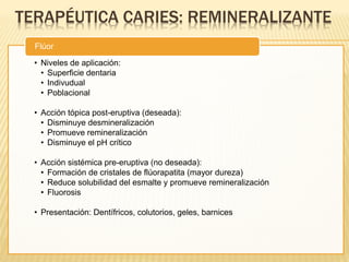 TERAPÉUTICA CARIES: REMINERALIZANTE
• Niveles de aplicación:
• Superficie dentaria
• Indivudual
• Poblacional
• Acción tópica post-eruptiva (deseada):
• Disminuye desmineralización
• Promueve remineralización
• Disminuye el pH crítico
• Acción sistémica pre-eruptiva (no deseada):
• Formación de cristales de flúorapatita (mayor dureza)
• Reduce solubilidad del esmalte y promueve remineralización
• Fluorosis
• Presentación: Dentífricos, colutorios, geles, barnices
Flúor
 