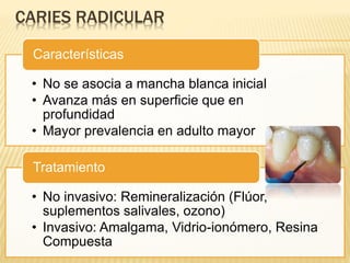 CARIES RADICULAR
• No se asocia a mancha blanca inicial
• Avanza más en superficie que en
profundidad
• Mayor prevalencia en adulto mayor
Características
• No invasivo: Remineralización (Flúor,
suplementos salivales, ozono)
• Invasivo: Amalgama, Vidrio-ionómero, Resina
Compuesta
Tratamiento
 