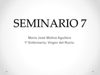 SEMINARIO 7
María José Molina Aguilera
1º Enfermería, Virgen del Rocío.
 