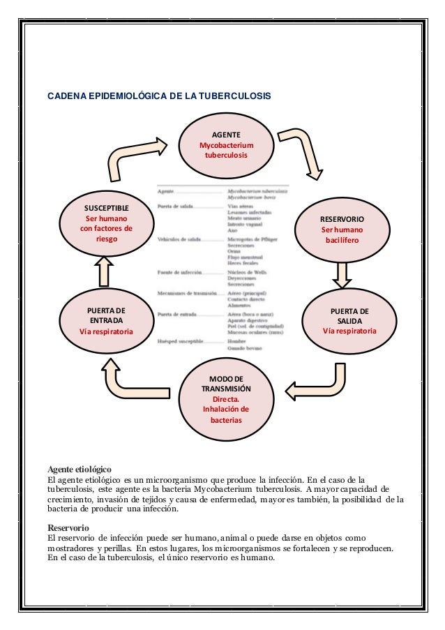 cadena epidemiologica treponema pallidum epidemiolog 205 a de las enfermedades transmisibles cadena epidemiologica treponema pallidum epidemiolog 205 a de las enfermedades transmisibles