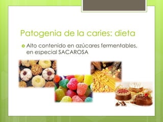 Patogenia de la caries: dieta
 Alto contenido en azúcares fermentables,
en especial SACAROSA
 