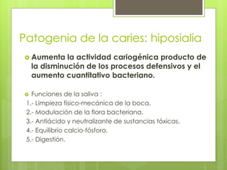 Patogenia de la caries: hiposialia
 Aumenta la actividad cariogénica producto de
la disminución de los procesos defensivos y el
aumento cuantitativo bacteriano.
 Funciones de la saliva :
1.- Limpieza físico-mecánica de la boca.
2.- Modulación de la flora bacteriana.
3.- Antiácido y neutralizante de sustancias tóxicas.
4.- Equilibrio calcio-fósforo.
5.- Digestión.
 