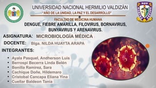 UNIVERSIDAD NACIONAL HERMILIO VALDIZÁN
“AÑO DE LA UNIDAD, LA PAZ Y EL DESARROLLO"
FACULTAD DE MEDICINA HUMANA
MICROBIOLOGÍA MÉDICA
INTEGRANTES:
ASIGNATURA:
DOCENTE:
DENGUE, FIEBRE AMARILLA, FILOVIRUS, BORNAVIRUS,
BUNYAVIRUS Y ARENAVIRUS.
Blga. NILDA HUAYTA ARAPA
• Ayala Pasquel, Andherson Luis
• Berrospi Becerra Linda Belén
• Bonilla Ramirez, Sara
• Cachique Doñe, Hildemaro
• Cristobal Cancapa Eliana Yina
• Cuellar Baldeon Tania
 