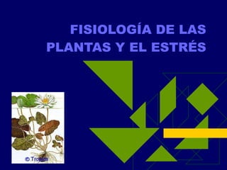 FISIOLOGÍA DE LAS PLANTAS Y EL ESTRÉS 
