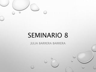 SEMINARIO 8
JULIA BARRERA BARRERA
 