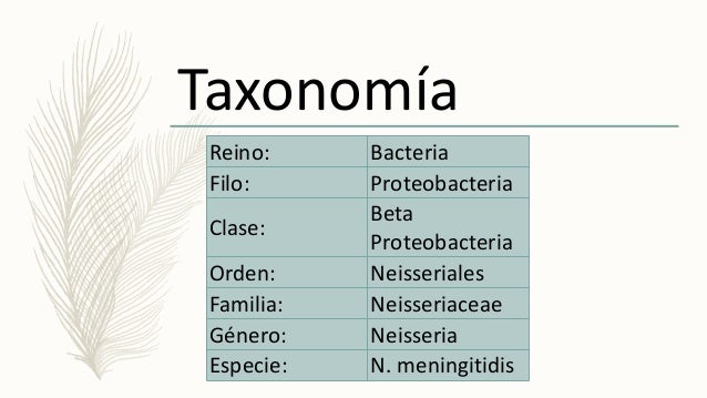BACTERIAS DE TRANSMISIÓN SEXUAL