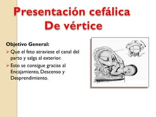 Objetivo General:
 Que el feto atraviese el canal del
parto y salga al exterior.
 Esto se consigue gracias al
Encajamiento, Descenso y
Desprendimiento.
 
