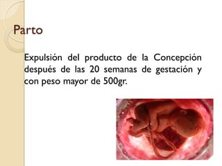 Parto
Expulsión del producto de la Concepción
después de las 20 semanas de gestación y
con peso mayor de 500gr.
 