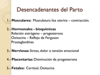 Desencadenantes del Parto
1.- Musculares: Musculatura lisa uterina – contracción.
2.- Hormonales - bioquímicas
Relación estrógeno – progesterona
Oxitocina – Reflejo de Ferguson
Prostaglandinas
3.- Nerviosas: Stress, dolor o tensión emocional
4.- Placentarias: Disminución de progesterona
5.- Fetales: Cortisol, Oxitocina
 