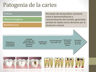 Patogenia de la caries
Crónica
Infectocontagiosa
Multifactorial
Formación
de lesión
de caries
Destrucción
de tejidos
duros del
diente
Desmineralización
con un pH < 5.5Acidificación
del medio
Actividad
metabólica del
biofilm adherido a
superficies
dentarias
Dieta alta en
carobhidratos
fermentables
Resultado del desequilibrio constante
entre la desmineralización y
remineralización del esmalte, generando
pérdida de tejidos duros dentarios por la
disolución mineral.
 