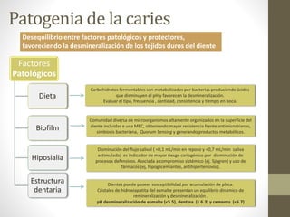 Patogenia de la caries
Factores
Patológicos
Dieta
Biofilm
Hiposialia
Estructura
dentaria
Desequilibrio entre factores patológicos y protectores,
favoreciendo la desmineralización de los tejidos duros del diente
Carbohidratos fermentables son metabolizados por bacterias produciendo ácidos
que disminuyen el pH y favorecen la desmineralización.
Evaluar el tipo, frecuencia , cantidad, consistencia y tiempo en boca.
Comunidad diversa de microorganismos altamente organizados en la superficie del
diente incluidas e una MEC, obteniendo mayor resistencia frente antimicrobianos,
simbiosis bacteriana, Quorum Sensing y generando productos metabólicos.
Disminución del flujo salival ( <0,1 mL/min en reposo y <0,7 mL/min saliva
estimulada) es indicador de mayor riesgo cariogénico por disminución de
procesos defensivos. Asociada a compromiso sistémico (ej. Sjögren) y uso de
fármacos (ej, hipoglicemiantes, antihipertensivos).
Dientes puede poseer susceptibilidad por acumulación de placa.
Cristales de hidroxiapatita del esmalte presentan un equilibrio dinámico de
remineralización y desmineralización .
pH desmineralización de esmalte (<5.5), dentina (< 6.3) y cemento (<6.7)
 