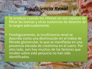 Insuficiencia Renal
• Se produce cuando los riñones no son capaces de
filtrar las toxinas y otras sustancias de desecho de
la sangre adecuadamente.
• Fisiológicamente, la insuficiencia renal se
describe como una disminución en el índice de
filtrado glomerular, lo que se manifiesta en una
presencia elevada de creatinina en el suero. Por
otro lado, aún hoy muchos de los factores que
inciden sobre este perjuicio no han sido
identificados.
 