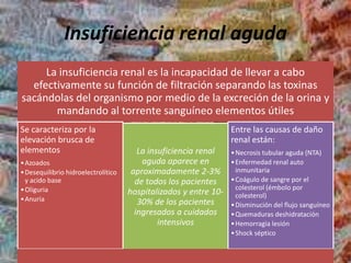 Insuficiencia renal aguda
La insuficiencia renal es la incapacidad de llevar a cabo
efectivamente su función de filtración separando las toxinas
sacándolas del organismo por medio de la excreción de la orina y
mandando al torrente sanguíneo elementos útiles
Se caracteriza por la
elevación brusca de
elementos
•Azoados
•Desequilibrio hidroelectrolítico
y acido base
•Oliguria
•Anuria
La insuficiencia renal
aguda aparece en
aproximadamente 2-3%
de todos los pacientes
hospitalizados y entre 10-
30% de los pacientes
ingresados a cuidados
intensivos
Entre las causas de daño
renal están:
•Necrosis tubular aguda (NTA)
•Enfermedad renal auto
inmunitaria
•Coágulo de sangre por el
colesterol (émbolo por
colesterol)
•Disminución del flujo sanguíneo
•Quemaduras deshidratación
•Hemorragia lesión
•Shock séptico
 