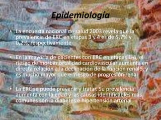 Epidemiología
• La encuesta nacional de salud 2003 revela que la
prevalencia de ERC en etapas 3 y 4 es de 5,7% y
0,2%, respectivamente
• En la mayoría de pacientes con ERC en etapas 1-4, el
riesgo de morbimortalidad cardiovascular aumenta en
directa relación a la declinación de la función renal6, y
es mucho mayor que el riesgo de progresión renal
• La ERC se puede prevenir y tratar. Su prevalencia
aumenta con la edad y las causas identificables más
comunes son la diabetes e hipertensión arterial
 