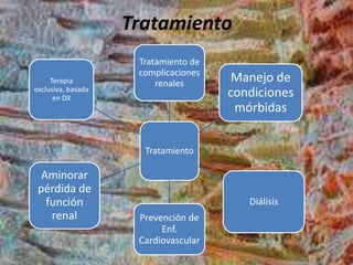 Tratamiento
Tratamiento
Tratamiento de
complicaciones
renales Manejo de
condiciones
mórbidas
Diálisis
Prevención de
Enf.
Cardiovascular
Aminorar
pérdida de
función
renal
Terapia
exclusiva, basada
en DX
 