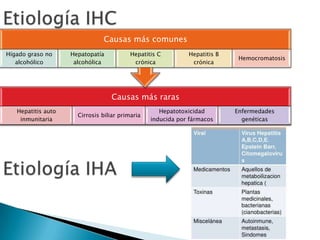 Causas más raras
Hepatitis auto
inmunitaria
Cirrosis biliar primaria
Hepatotoxicidad
inducida por fármacos
Enfermedades
genéticas
Causas más comunes
Hígado graso no
alcohólico
Hepatopatía
alcohólica
Hepatitis C
crónica
Hepatitis B
crónica
Hemocromatosis
 
