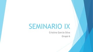 SEMINARIO IX 
Cristina García Silva 
Grupo 6 
 