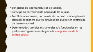 • Son genes de tipo transductor de señales.
• Participa en el crecimiento normal de las células.
• En células cancerosas, uno o más de un proto – oncogén esta
alterado de manera que su actividad no puede ser controlada
de manera normal.
• Determinados cambios estructurales y/o funcionales en los
proto – oncogenes contribuyen a la malignización de la
estirpe celular.
 