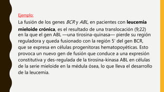Ejemplo:
La fusión de los genes BCR y ABL, en pacientes con leucemia
mieloide crónica, es el resultado de una translocación (9;22)
en la que el gen ABL —una tirosina-quinasa— pierde su región
reguladora y queda fusionado con la región 5' del gen BCR,
que se expresa en células progenitoras hematopoyéticas. Esto
provoca un nuevo gen de fusión que conduce a una expresión
constitutiva y des-regulada de la tirosina-kinasa ABL en células
de la serie mieloide en la médula ósea, lo que lleva el desarrollo
de la leucemia.
 
