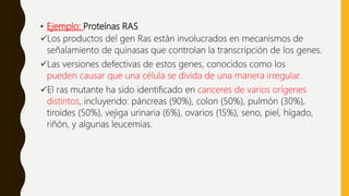 • Ejemplo: Proteínas RAS
Los productos del gen Ras están involucrados en mecanismos de
señalamiento de quinasas que controlan la transcripción de los genes.
Las versiones defectivas de estos genes, conocidos como los
pueden causar que una célula se divida de una manera irregular.
El ras mutante ha sido identificado en canceres de varios orígenes
distintos, incluyendo: páncreas (90%), colon (50%), pulmón (30%),
tiroides (50%), vejiga urinaria (6%), ovarios (15%), seno, piel, hígado,
riñón, y algunas leucemias.
 