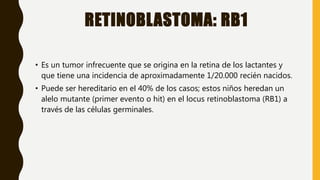 RETINOBLASTOMA: RB1
• Es un tumor infrecuente que se origina en la retina de los lactantes y
que tiene una incidencia de aproximadamente 1/20.000 recién nacidos.
• Puede ser hereditario en el 40% de los casos; estos niños heredan un
alelo mutante (primer evento o hit) en el locus retinoblastoma (RB1) a
través de las células germinales.
 