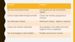 Benigno Maligno
Son de crecimiento lento La mayoría son de crecimiento
rápido
Crecen hasta determinado tamaño Crecen de manera progresiva e
invasiva
No destruyen células Destruyen células , tejidos y organos
Crecen de manera ordenada Se propagan a los tejidos de otros
órganos como metastasis
No se propagan a otros tejidos Pueden provocar la muerte
 
