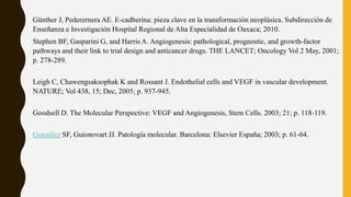 Günther J, Pederernera AE. E-cadherina: pieza clave en la transformación neoplásica. Subdirección de
Enseñanza e Investigación Hospital Regional de Alta Especialidad de Oaxaca; 2010.
Stephen BF, Gasparini G, and Harris A. Angiogenesis: pathological, prognostic, and growth-factor
pathways and their link to trial design and anticancer drugs. THE LANCET; Oncology Vol 2 May, 2001;
p. 278-289.
Leigh C, Chawengsaksophak K and Rossant J. Endothelial cells and VEGF in vascular development.
NATURE; Vol 438, 15; Dec, 2005; p. 937-945.
Goodsell D. The Molecular Perspective: VEGF and Angiogenesis, Stem Cells. 2003; 21; p. 118-119.
González SF, Guionovart JJ. Patología molecular. Barcelona: Elsevier España; 2003; p. 61-64.
 