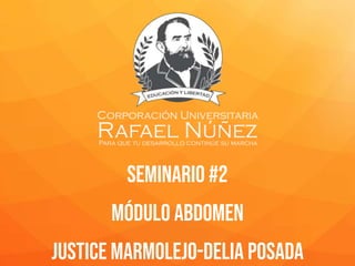 seminario #2
módulo abdomen
Justice marmolejo-delia posada
 