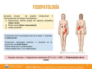 01/08/2018
13
fisiopatología
Esquena, S., Millán Rodríguez, F., Sánchez-Martín, F. M., Rousaud Barón, F., Marchant, F., & Villavicencio
Mavrich, H. (2006). Cólico renal: Revisión de la literatura y evidencia científica. Actas Urológicas Españolas,
Aumento brusco de presión intraluminal ->
Terminaciones nerviosas nociceptoras.
❏ Submucosa, lámina propia de cápsula peripiélica
(dolor renal)
❏ Pelvis renal (dolor renoureteral)
❏ Uréter proximal
Contracción de la musculatura lisa de la pared -> Expulsar
la obstrucción
Contracción prolongada isotónica -> Aumento en la
producción de ácido láctico
*Fibras lentas tipo A (mielinizadas)
*Fibras rápidas tipo C (no mielinizadas)
Impulso nervioso -> Segmentos medulares (D11-L2) -> SNC -> Potenciación de la
crisis
 