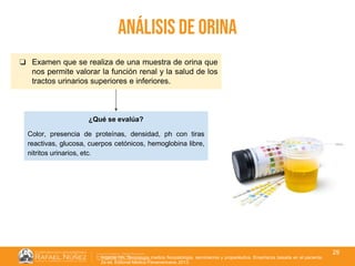 01/08/2018
29
Análisis de orina
❏ Examen que se realiza de una muestra de orina que
nos permite valorar la función renal y la salud de los
tractos urinarios superiores e inferiores.
¿Qué se evalúa?
Color, presencia de proteínas, densidad, ph con tiras
reactivas, glucosa, cuerpos cetónicos, hemoglobina libre,
nitritos urinarios, etc.
Argente HA. Semiologia medica fisiopatologia, semiotecnia y propedéutica. Enseñanza basada en el paciente.
2a ed. Editorial Médica Panamericana; 2013.
 