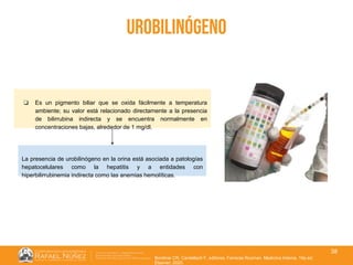 01/08/2018
38
urobilinógeno
Borstnar CR, Cardellach F, editores. Farreras Rozman. Medicina Interna. 19a ed.
Elsevier; 2020.
❏ Es un pigmento biliar que se oxida fácilmente a temperatura
ambiente; su valor está relacionado directamente a la presencia
de bilirrubina indirecta y se encuentra normalmente en
concentraciones bajas, alrededor de 1 mg/dl.
La presencia de urobilinógeno en la orina está asociada a patologías
hepatocelulares como la hepatitis y a entidades con
hiperbilirrubinemia indirecta como las anemias hemolíticas.
 