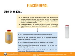 01/08/2018
39
función renal
Borstnar CR, Cardellach F, editores. Farreras Rozman. Medicina Interna. 19a ed.
Elsevier; 2020.
orina en 24 horas
❏ El examen del volumen urinario en 24 horas mide la cantidad de
orina producida en un día. Normalmente también se analiza las
cantidades de creatinina, proteína y otros químicos secretados en
la orina durante este período.
❏ Para este examen, se debe orinar en una bolsa o recipiente
especial cada vez que se use el baño durante un período de 24
horas.
El día 1, orine en el inodoro cuando se levante en la mañana.
Después de esto, recoja toda la orina en un recipiente especial
durante las siguientes 24 horas.
El día 2, orine en el recipiente cuando se levante en la mañana.
Tape el recipiente. Manténgalo en el refrigerador o en un lugar frío
durante el período de recolección.
Marque el recipiente con su nombre, la fecha, la hora de terminación
y devuélvalo de acuerdo con las instrucciones.
 