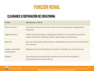 01/08/2018
41
función renal
Huidobro E., JP., Tagle, R., Guzmán, AM. Creatinina y su uso para la estimación de la velocidad de filtrac glomerular. Rev.
méd. Chile [Internet]. 2018 Mar [citado 2022 Sep 11] ; 146( 3 ): 344-350. Disponible en:
http://www.scielo.cl/scielo.php?script=sci_arttext&pid=S0034-98872018000300344&lng=es.
clearance o depuración de creatinina
 