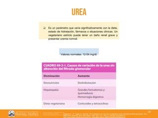01/08/2018
47
urea
❏ Es un parámetro que varía significativamente con la dieta,
estado de hidratación, fármacos o situaciones clínicas. Un
vegetariano estricto puede tener un daño renal grave y
presentar uremia normal.
Valores normales: 12-54 mg/dl.
Huidobro E., JP., Tagle, R., Guzmán, AM. Creatinina y su uso para la estimación de la velocidad de filtrac glomerular. Rev.
méd. Chile [Internet]. 2018 Mar [citado 2022 Sep 11] ; 146( 3 ): 344-350. Disponible en:
http://www.scielo.cl/scielo.php?script=sci_arttext&pid=S0034-98872018000300344&lng=es.
 