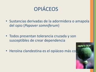 OPIÁCEOS
• Sustancias derivadas de la adormidera o amapola
  del opio (Papaver somniferum)

• Todos presentan tolerancia cruzada y son
  susceptibles de crear dependencia

• Heroína clandestina es el opiáceo más consumido
 