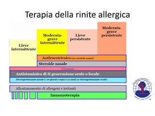 Terapia della rinite allergica
 