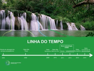 LINHA DO TEMPO
Estudo de valoração dos
serviços ecossistêmico
20132003 2006 2009 20112010 2012
Oásis São
Paulo
Oásis São
Bento do Sul
Oásis
Brumadinho
Oásis
Apucarana LançamentoEstudo
Nova metodologia
OÁSIS
2014
Oásis
Corredores de
Biodiversidade
 
