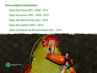 Cinco projetos implantados:
Oásis São Paulo (SP) – 2006 - 2014
Oásis Apucarana (PR) – 2009 - 2012
Oásis São Bento do Sul (SC) - 2010
Oásis Brumadinho (MG) – 2013
Oásis Corredores de Biodiversidade (SC) – 2014
 