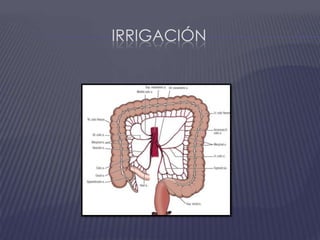 Irrigación